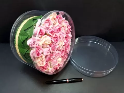 Cutii rotunde (cilindri) din plastic transparent diametru 20 cm