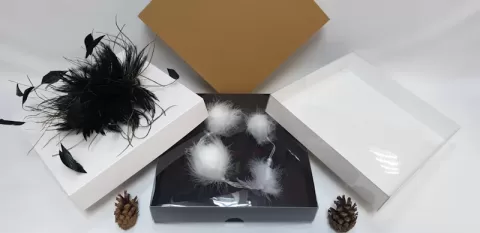 Cutii cu capac M323