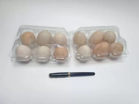 Cofraje 6 oua si 12 oua M4290