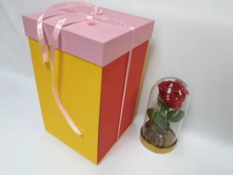 Cutii inalte pentru flori M6126