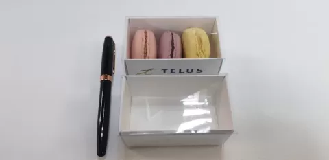 Cutie pentru 3 macarons M729