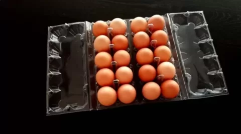 Cofraje pentru oua de gaina 20 compartimente M4193